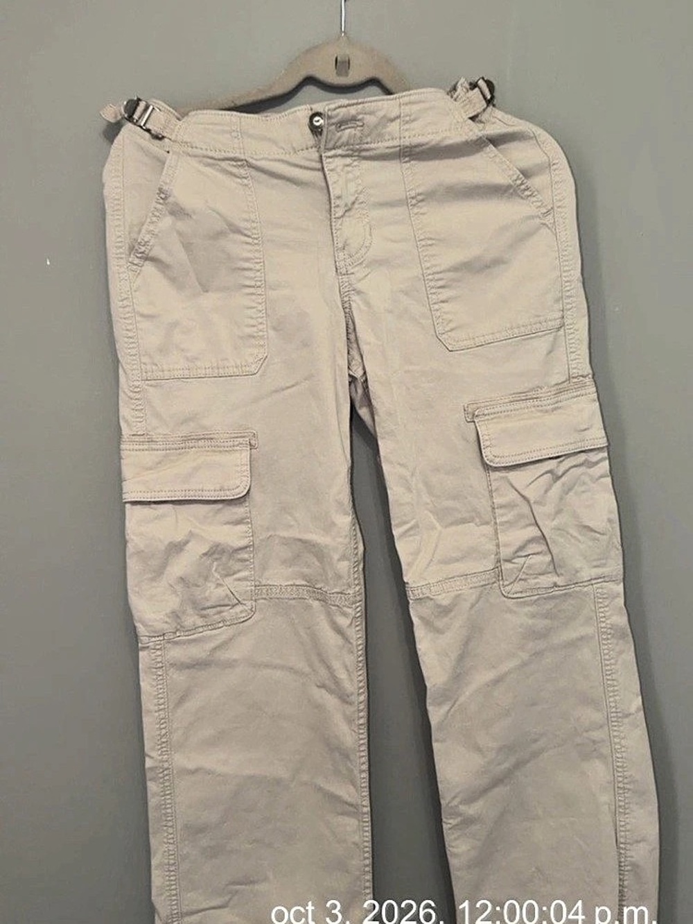 Hollister Low-Rise Baggy Cargo Pants Beige Waist 24